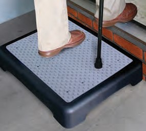 Rose HC Step Aid